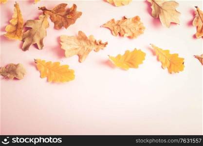 Fall leaves on pink flat lay autumn background, fall season and holidays concept, retro toned. Fall leaves autumn background