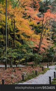 Fall maple colors at Enkoji temple in Kyoto, Japan