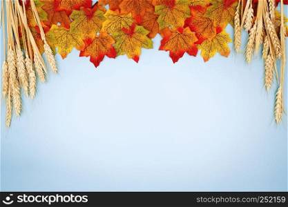 fall maple leaves on blue background, copyspace