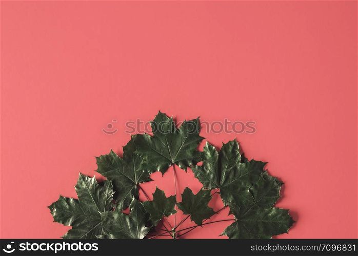 Fall minimal concept with dried maple leaves on a living coral-colored background. Above view of dark leaves on red backdrop. Autumn dried leaves.