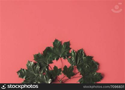Fall minimal concept with dried maple leaves on a living coral-colored background. Above view of dark leaves on red backdrop. Autumn dried leaves.