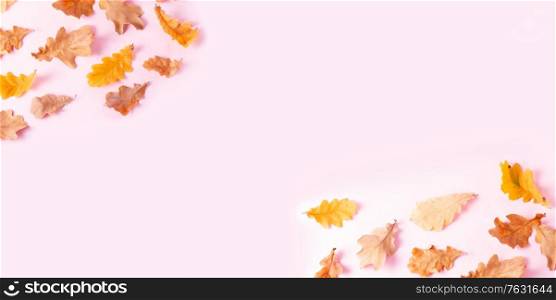 Fall oak leaves pattern on pink flat lay autumn background web banner. Fall leaves autumn background