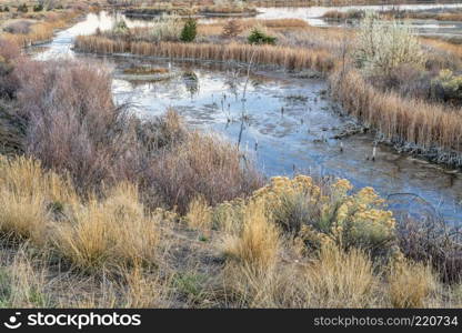 fall scenery in one of natural areas in Fort Collins, Colorado along the Poudre River converted from gravel quarry