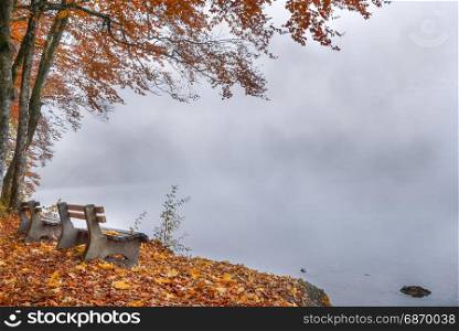 Fall scenery with wooden benches on a misty lake shore and a colorful carpet of leaves, in Bavaria, Germany.
