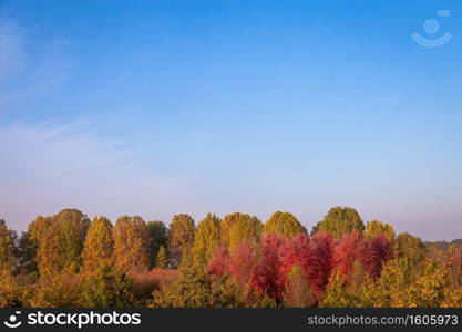 Fall season with blue sky and amazing day light