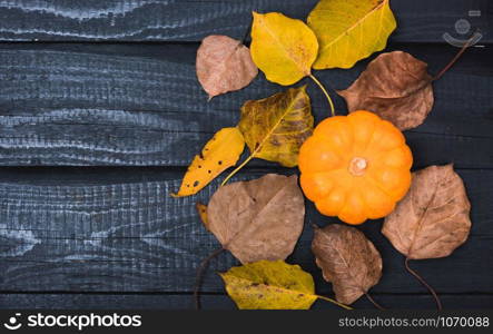 Fall Thanksgiving and Halloween pumpkins and dry leaves on wooden background, top view shot