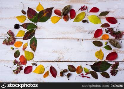 Fall wreath with acorns, colorful leaves, pine and fir cones frame on the rustic white painted wooden background
