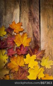 Fall yellow, orange and red magenta maple leaves on the rustic wooden table, copy space
