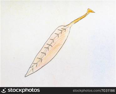 fallen ash leaf hand-drawn by colour pencils on white paper