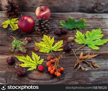 Fallen autumn leaves,chestnuts and acorns on an archaic wooden background