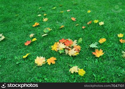 Fallen red, yellow maple leaves on green grass