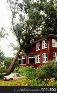 Fallen tree on a house, Washington DC, USA