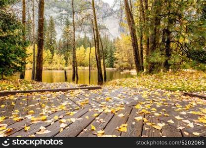 Fallen yellow autumn leaves on the boardwalk. Meadow in Yosemite National Park Valley at cloudy autumn morning. Low clouds lay in the valley. California, USA.