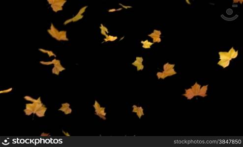 falling leaves - masked 3d animation loop