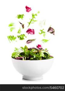 Falling salad with green leaves in a bowl on the white