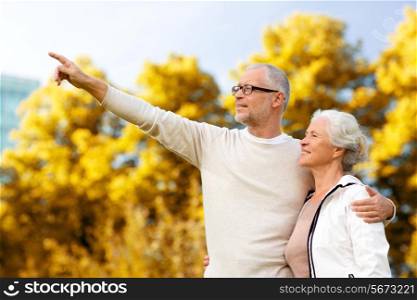 family, age, tourism, travel and people concept - senior couple hugging and pointing finger in park