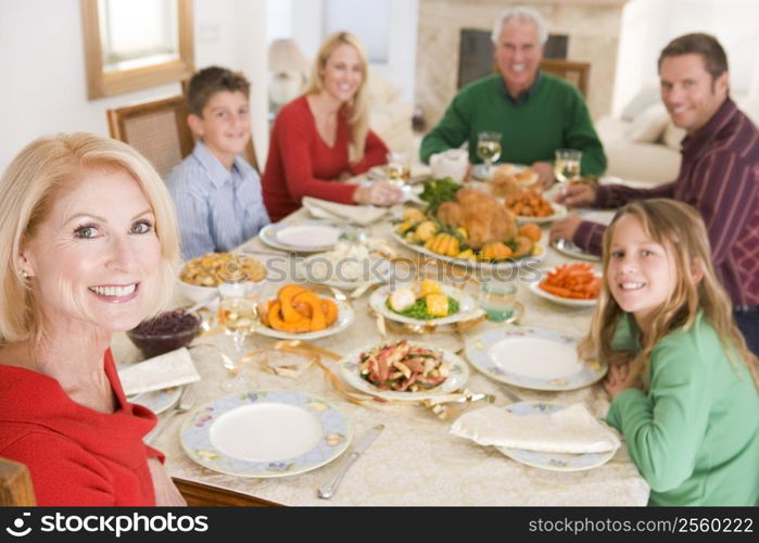 Family All Together At Christmas Dinner