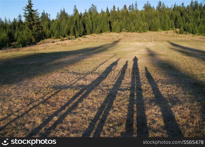 family chain concpet with four shadows in field
