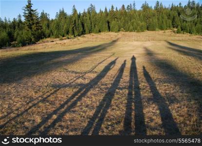 family chain concpet with four shadows in field