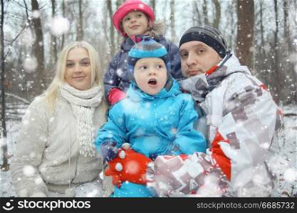 Family Christmas walk in a snowy park