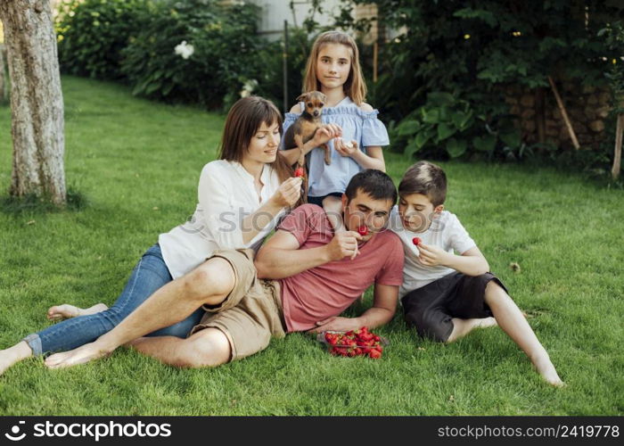 family eating fresh red strawberry grass park