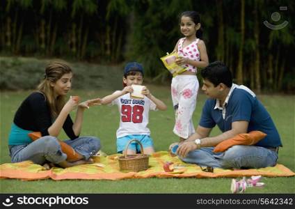 Family enjoying at a picnic