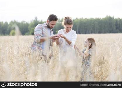 Family examining wheat crops at farm