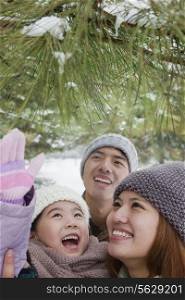 Family exploring in park in winter