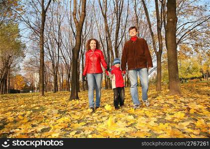 family goes for a walk in the park in autumn