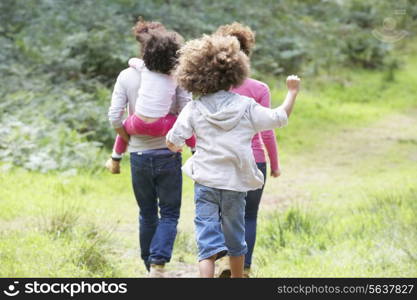 Family Group Walking In Countryside