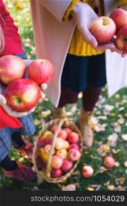 family harvesting - the girl holds juicy apples near basket with apples in a in the garden