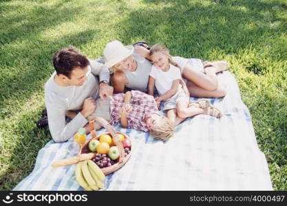 Family having a picnic