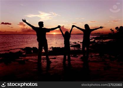 Family holding hands on beach at dusk, rear view
