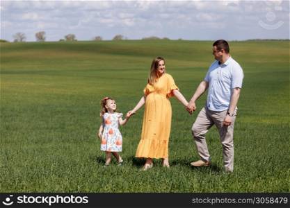 family holding hands walking on the field. happy family.. family holding hands walking on the field. happy family