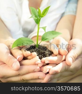 Family holding young green plant in hands. Ecology concept