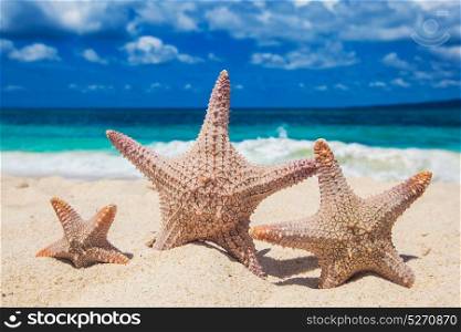 Family holiday concept. Family holiday concept - sea-stars walking on sand beach against waves background