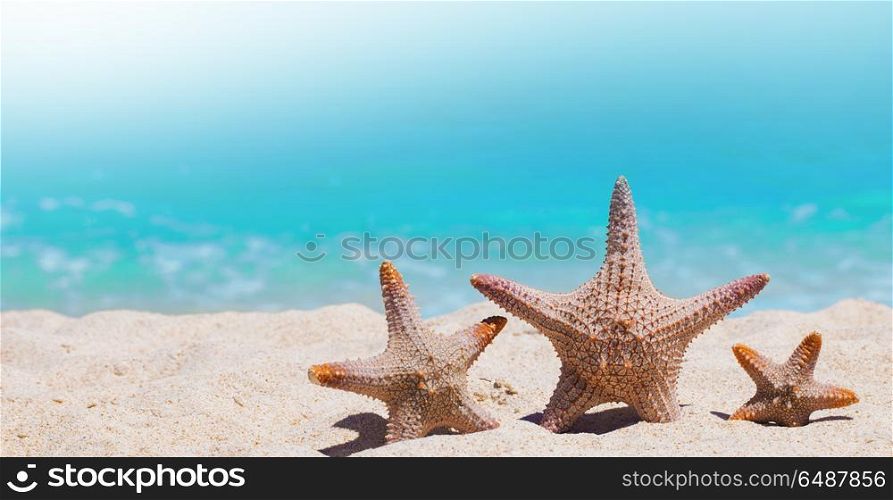 Family holiday concept. Family holiday concept - sea-stars walking on sand beach against waves background