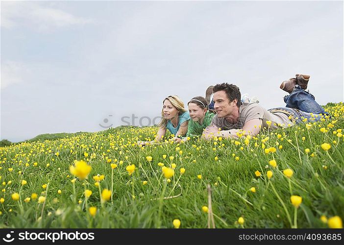Family laying in field