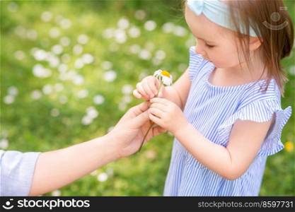 family, motherhood and people concept - happy little girl with chamomile flower at summer park or garden. little girl with chamomile flower at park