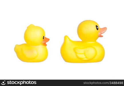 Family of yellow plastic ducks isolated on a over white background