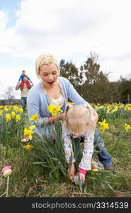 Family On Easter Egg Hunt In Daffodil Field