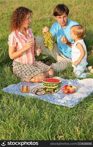 family on picnic