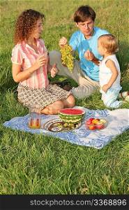 family on picnic