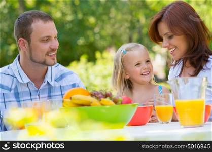 Family on picnic at park or backyard