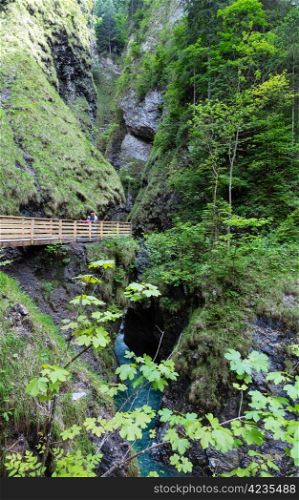 Family on wooden planked footway above summer Liechtensteinklamm gorge and stream in Austria.