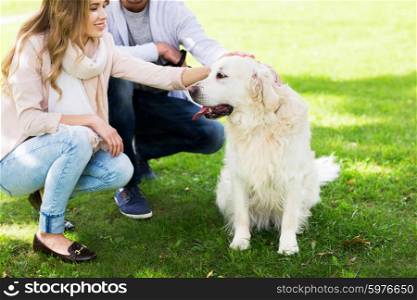 family, pet, animal and people concept - close up of happy couple with labrador retriever dog walking in city park