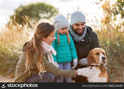 family, pets and people concept - happy mother, father and little daughter with beagle dog outdoors in autumn. happy family with beagle dog outdoors in autumn
