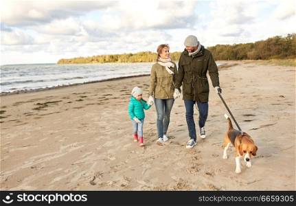 family, pets and people concept - happy mother, father and little daughter walking with beagle dog on leash on beach in autumn. happy family walking with beagle dog on beach