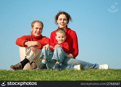 family sits on to the meadow