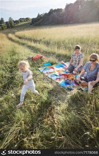 Family spending time together on a meadow, close to nature, roasting marshmallows over a campfire, parents and children sitting on a blanket on grass. Candid people, real moments, authentic situations